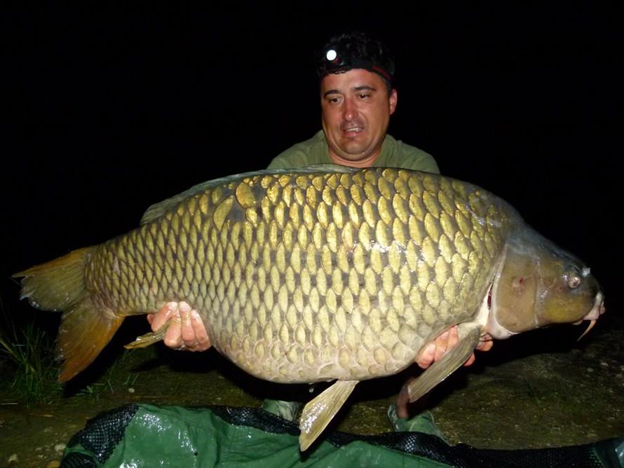 THE BIGS OF 2013 - p1030605.JPG